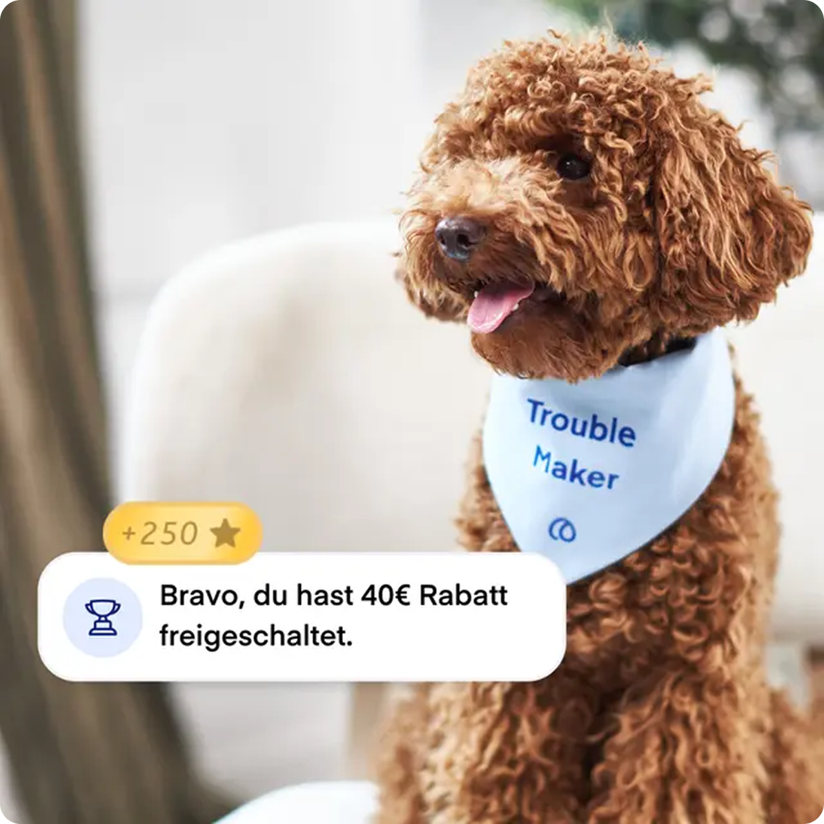 Brauner Hund hinter dem Schriftzug Bravo du hast 40€ Rabatt freigeschaltet