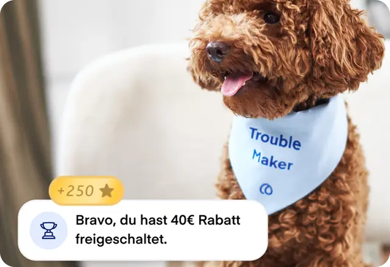 Brauner Hund hinter dem Schriftzug Bravo du hast 40€ Rabatt freigeschaltet