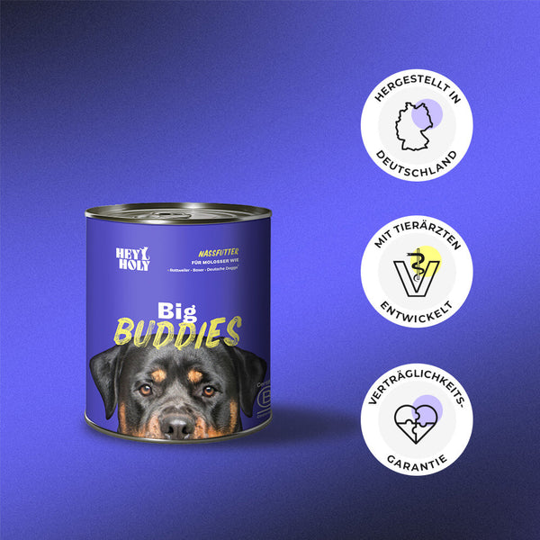 Big Buddies - Croquettes