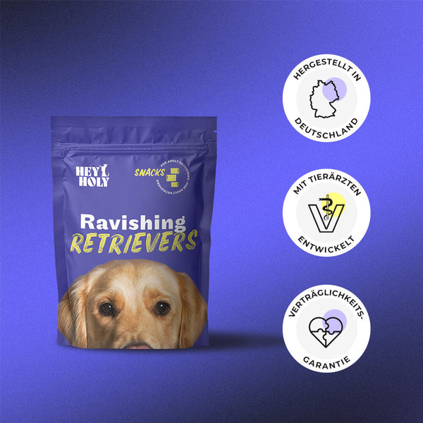 HEY HOLY Ravishing Retrievers Snacks