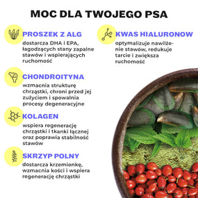 Składniki Mighty Mobility: algi, kwas hialuronowy, chondroityna, kolagen, małż zielony