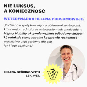 Weterynarz poleca proszek na stawy przy bólu i ograniczonej ruchomości psa