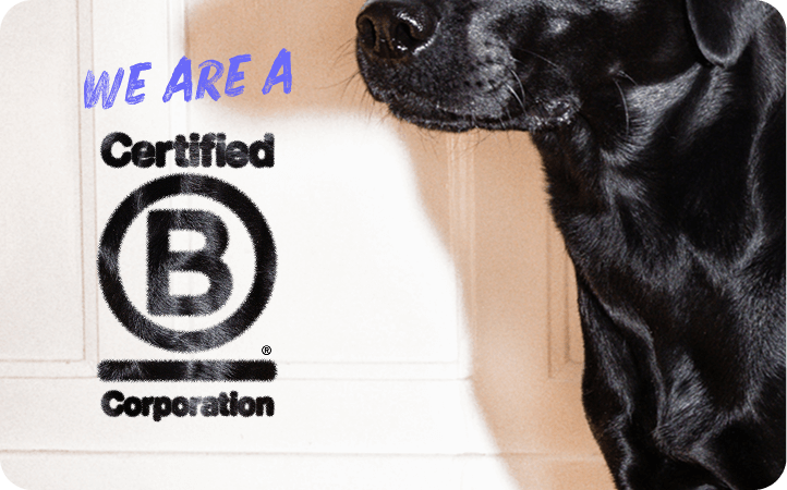 We are a certified B Corporation Banner