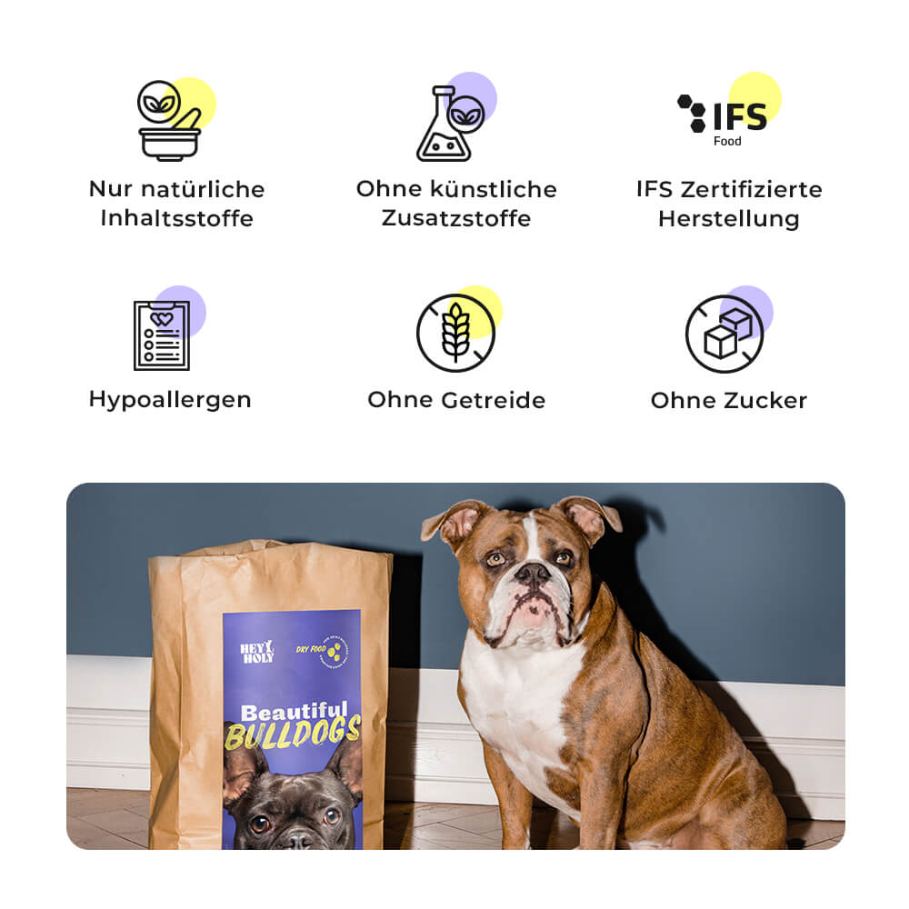 Englische Bulldogge sitzt neben Beautiful Bulldogs Trockenfutter Verpackung mit Qualitätsmerkmalen