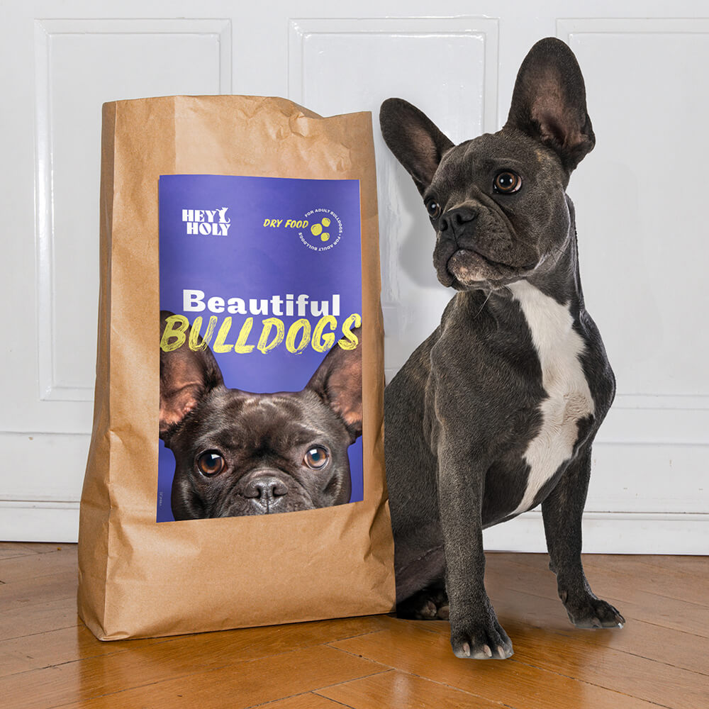 Schwarze französische Bulldogge sitzt neben einem Beautiful Bulldogs Futtersack