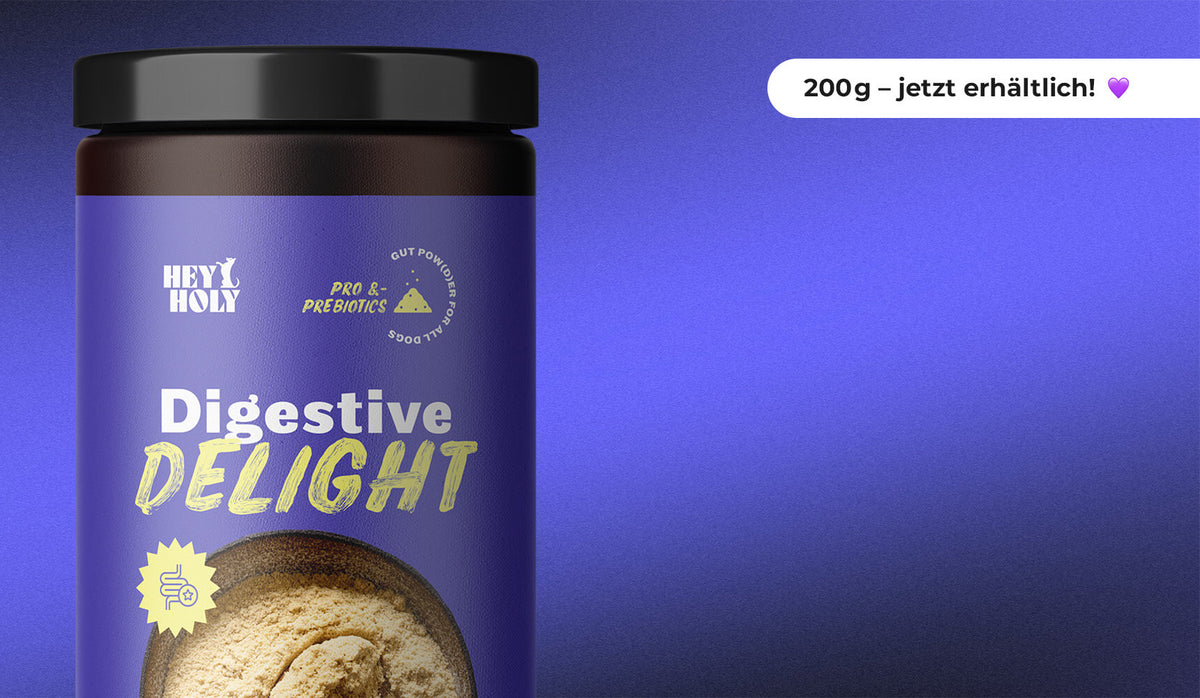 HEY HOLY Digestive Delight nun auch in 200g Banner