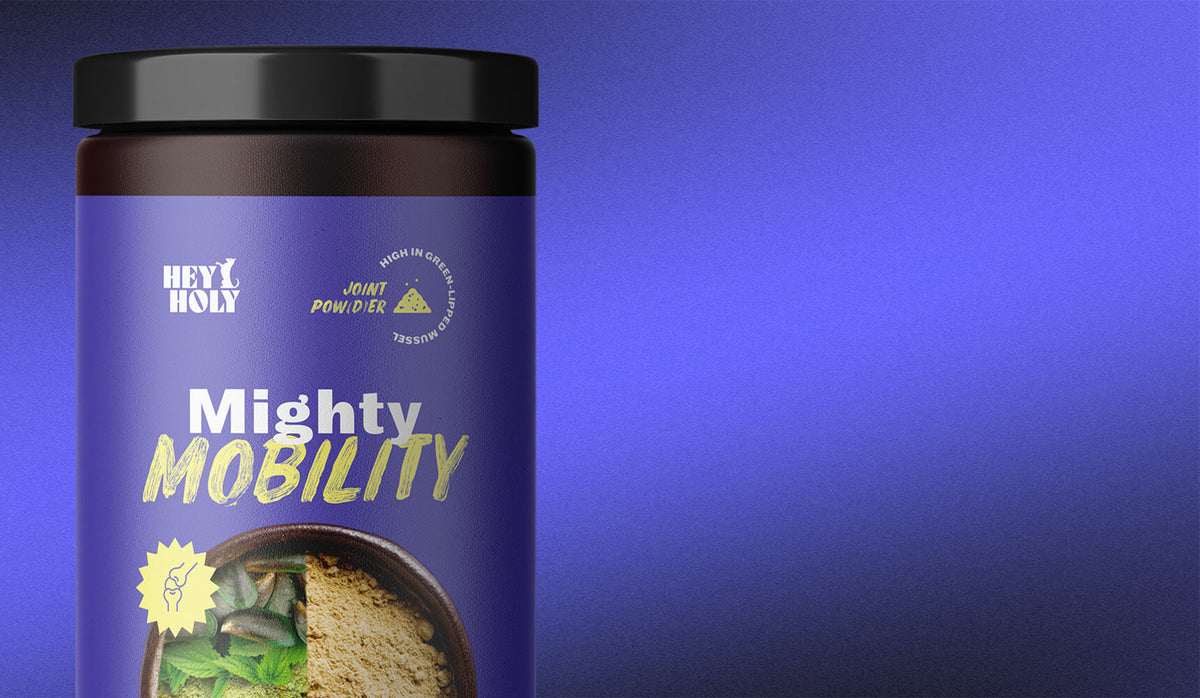 Mighty Mobility Menü Banner