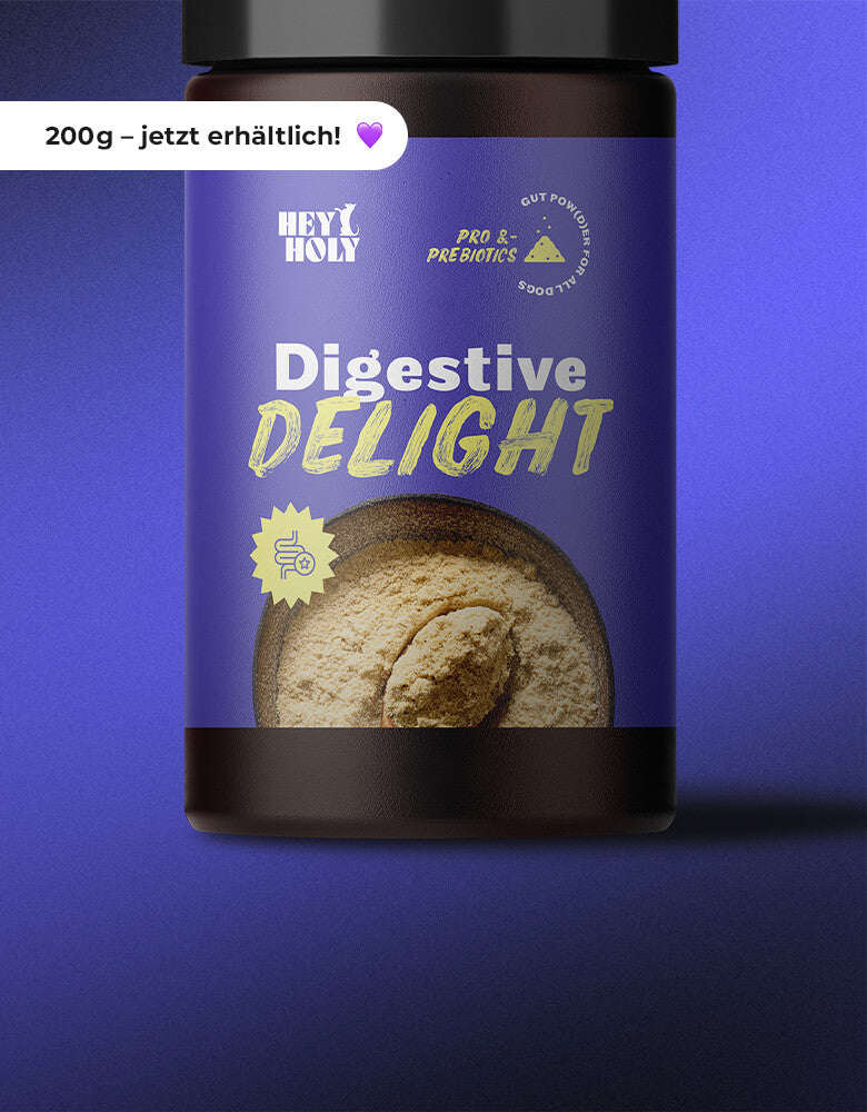 HEY HOLY Digestive Delight nun auch in 200g Banner