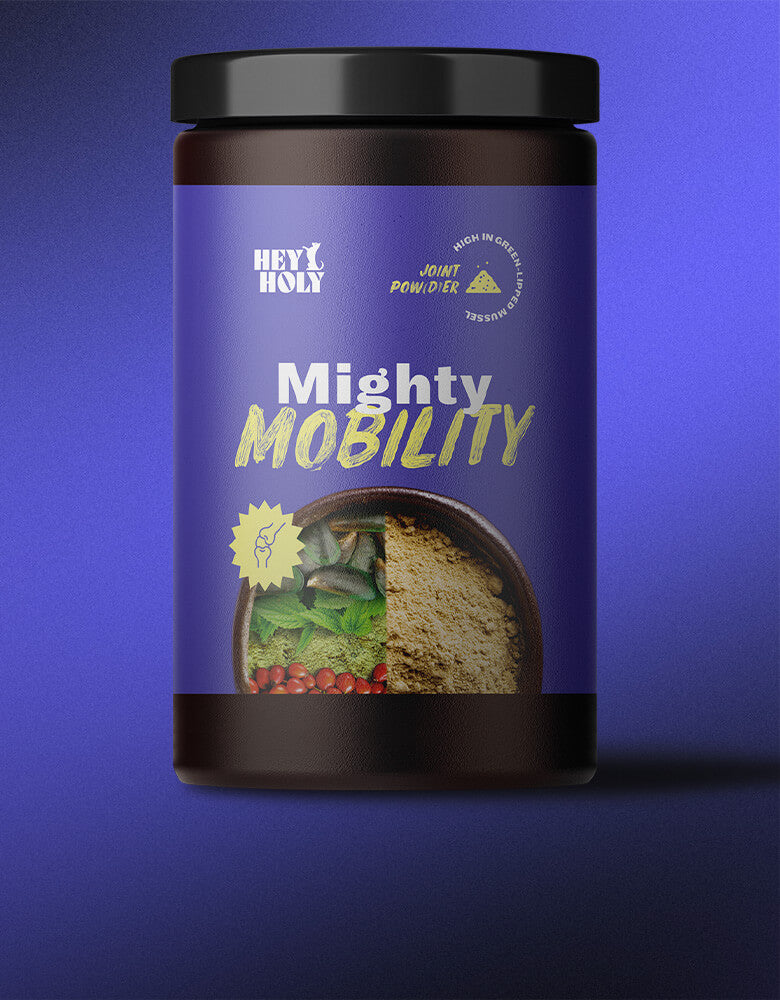 Mighty Mobility Gelenkpulver
