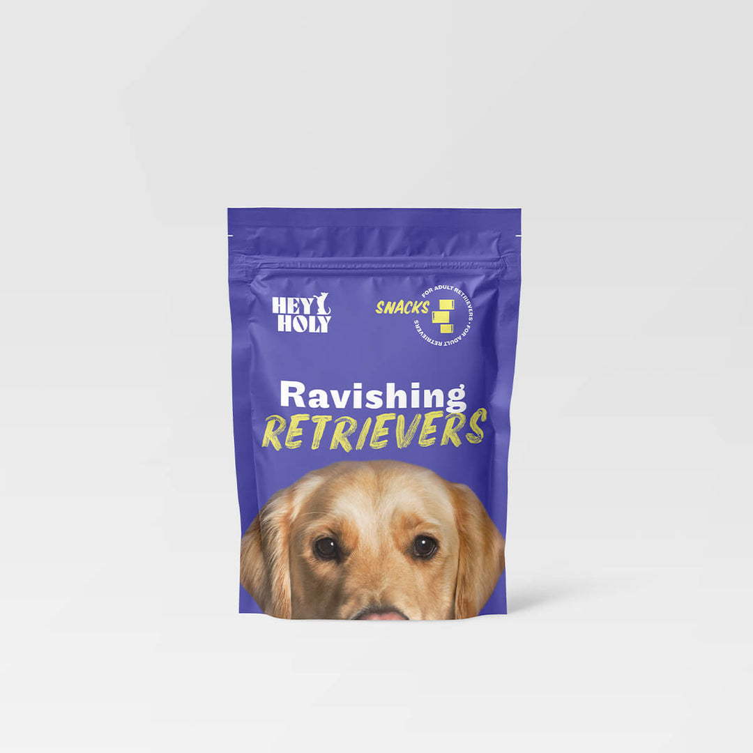 Ravishing Retrievers - Smaczki