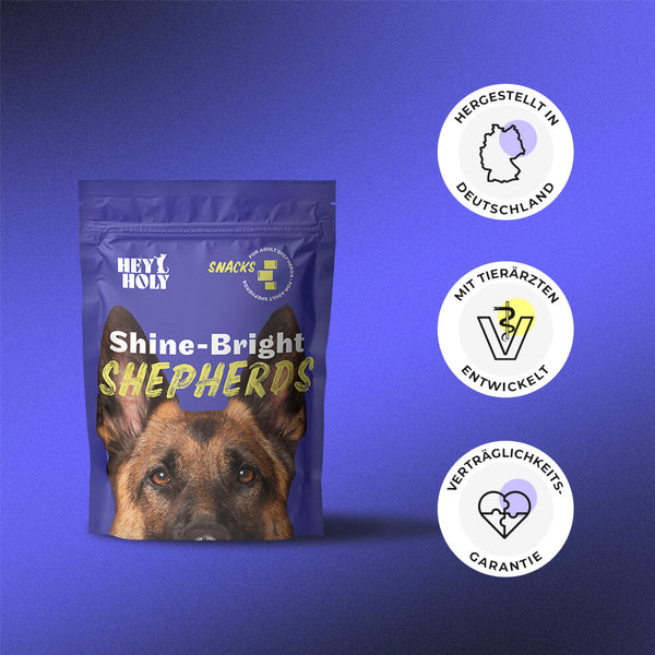 HEY HOLY Shine Bright Shepherds Snacks