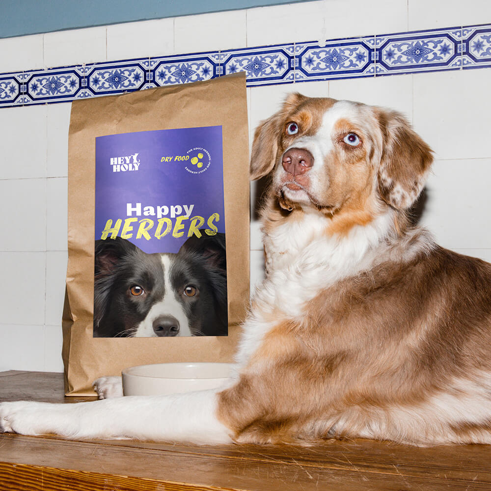 Australian Shepherd liegt neben einem Happy Herders Trockenfutter Futtersack