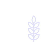 Getreide