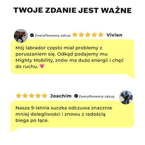 Opinie klientów o Mighty Mobility: poprawa ruchomości u starszych psów