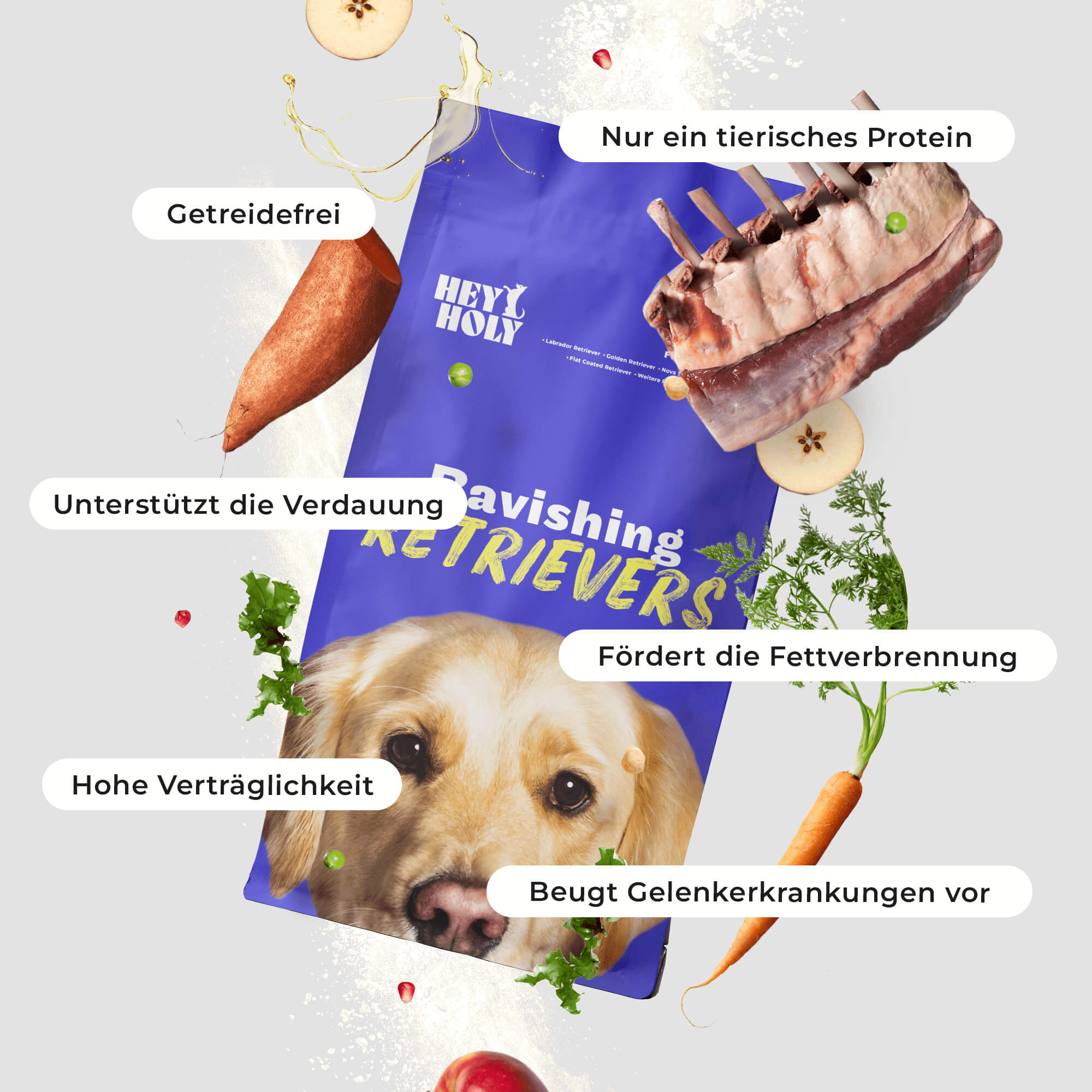 Ravishing Retrievers - Sucha karma