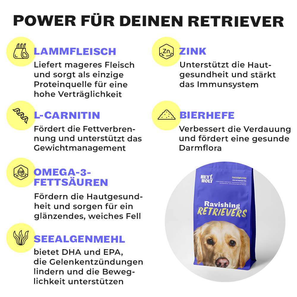 Ravishing Retrievers - Sucha karma