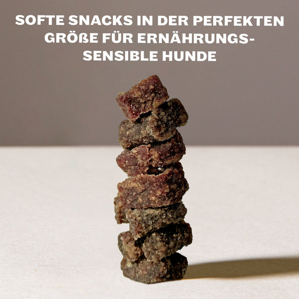 HEY HOLY Sensitive Snacks Beutel mit Single Protein Pferd, hergestellt in Deutschland, von Tierärzten entwickelt