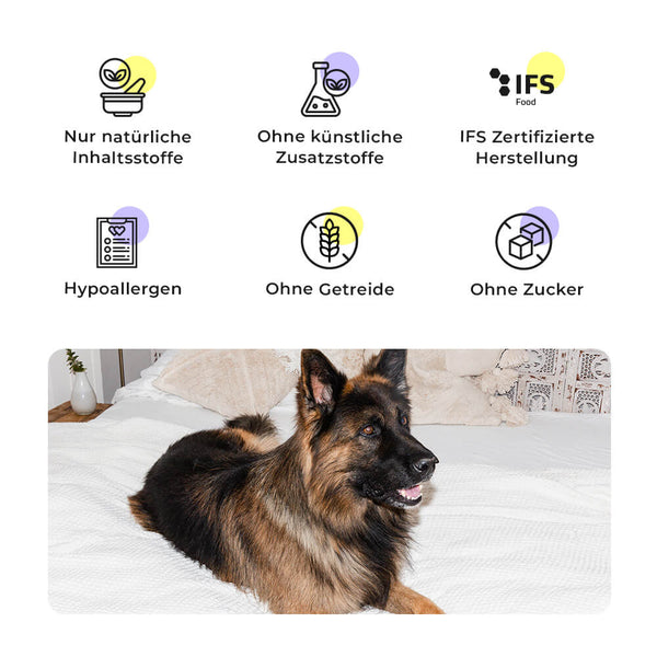 Shine-Bright Shepherds - Wet Food -  400g